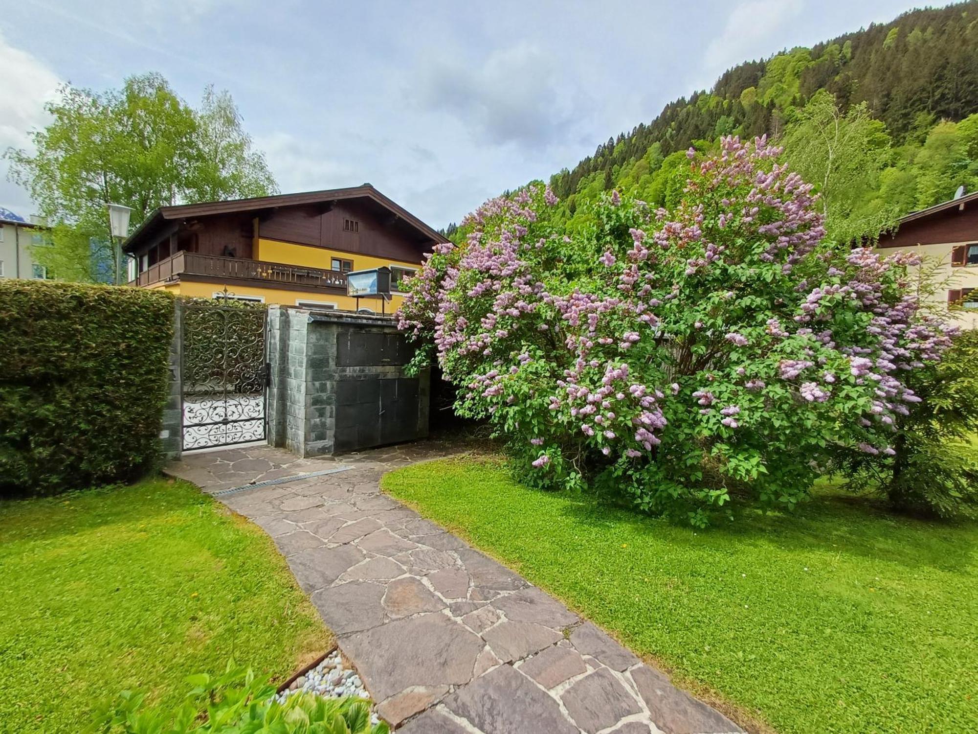 Panorama - Steinbock Appartement *
